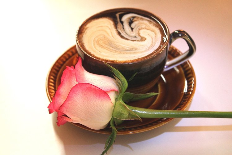 kahvikuppi ja ruusu