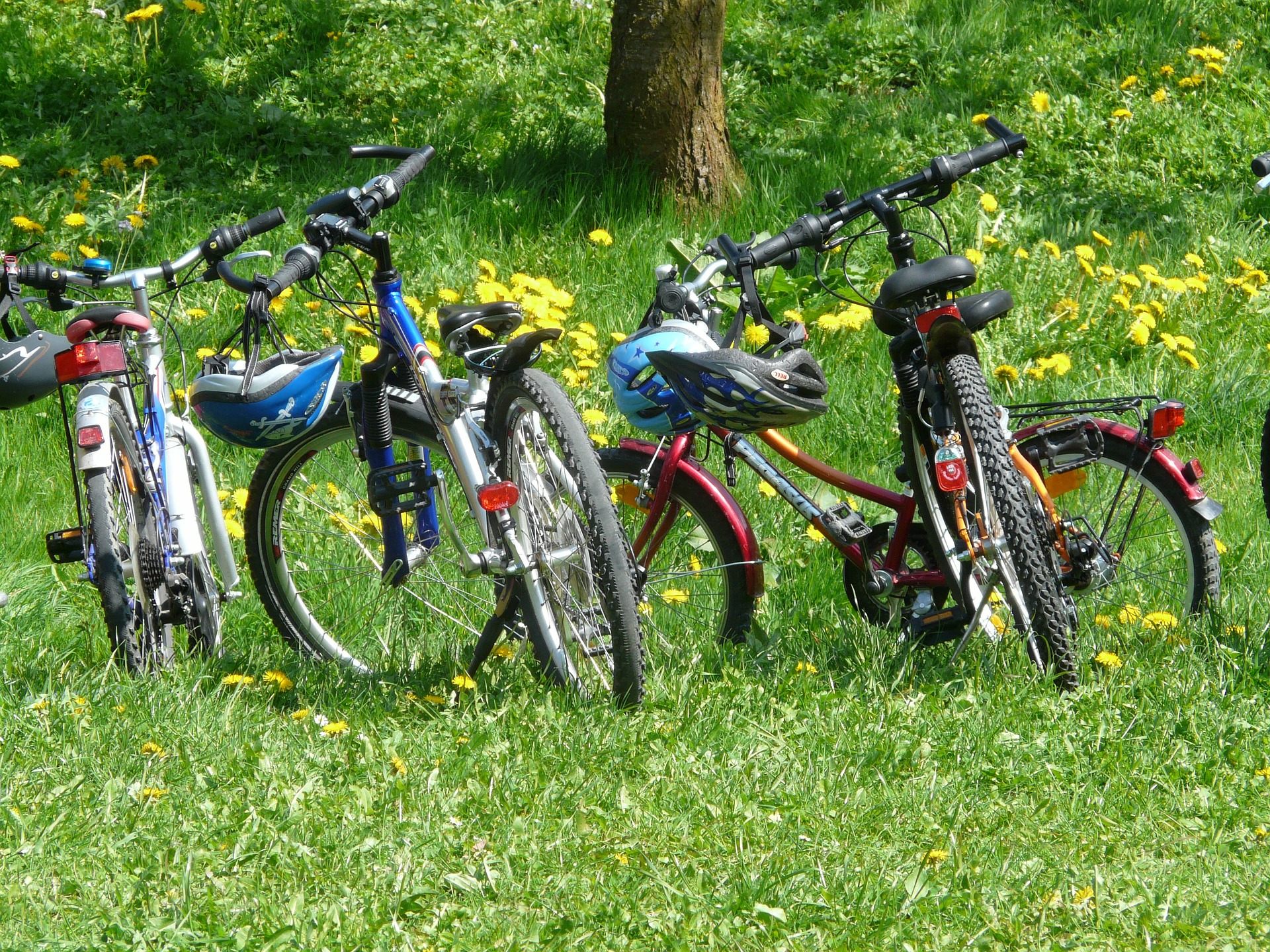 Kuvassa neljä pyörää nurmella.