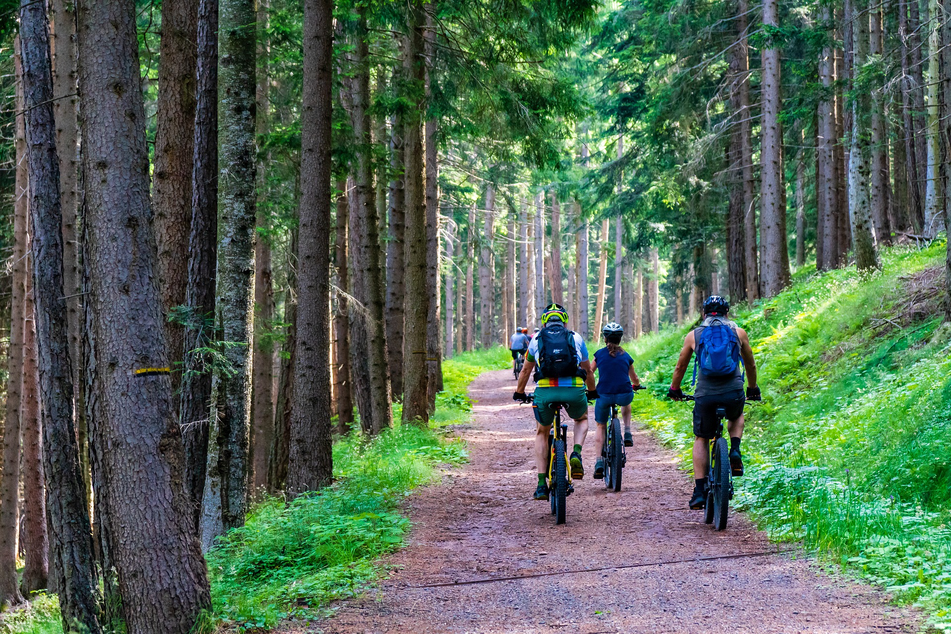 Kuvassa pyöräilijöitä metsäpolulla.
